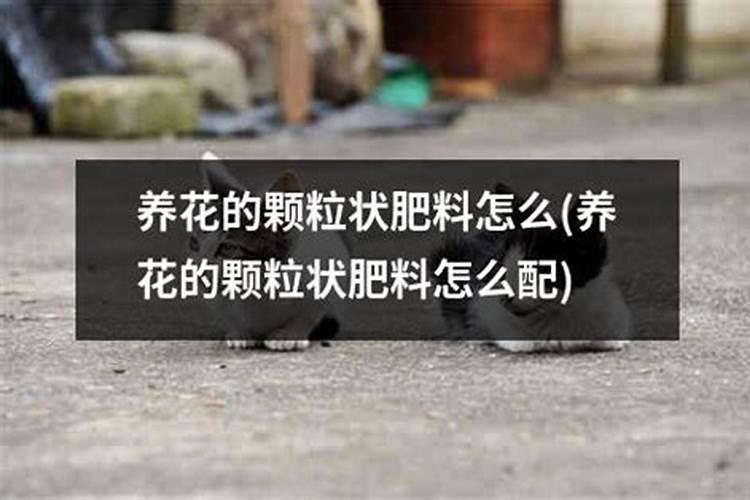 为什么铵态氮