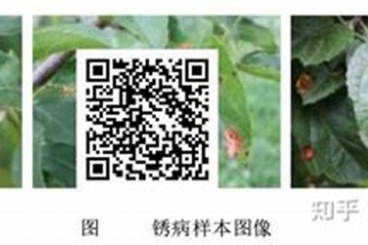 遇见尤尚农业,遇见生物碳酶的有机力量,多多双十电商节肥多多精选...