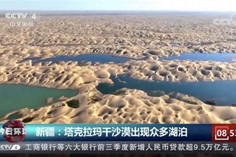 白兰花什么时候种