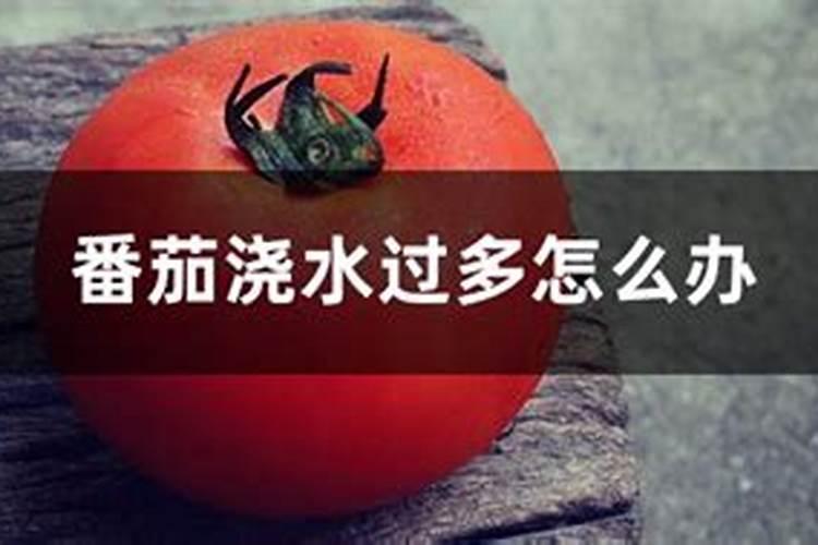 一斤白醋喷几亩玉米