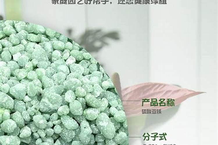什么花适合施氮肥？