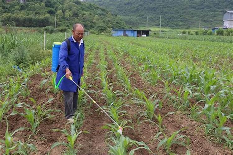 涨价预警!氮、磷、钾肥都涨价了,涨多少？鉴别假化肥的4个方法