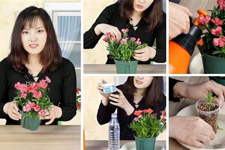 如何科学施用镁肥？