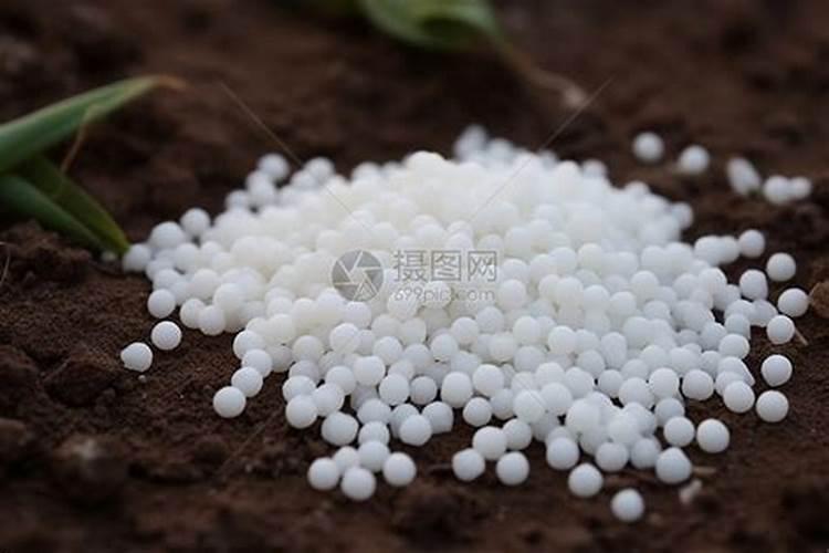 盆栽桂花可以施叶面肥吗(盆栽桂花发芽时能施肥吗)