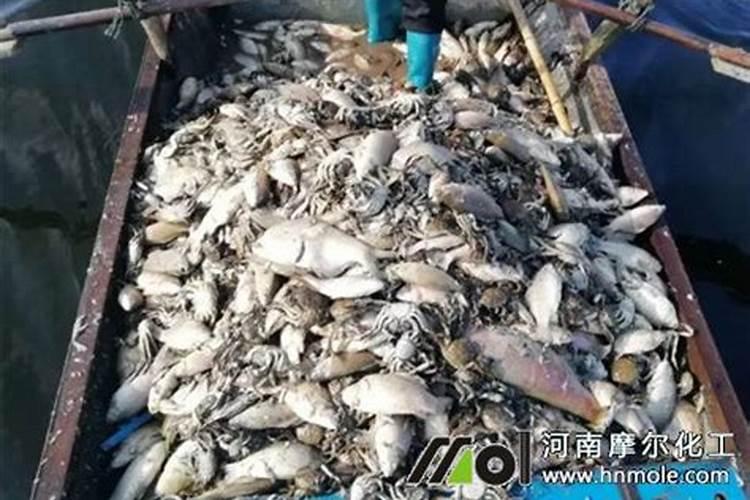 马铃薯膨大期用什么肥料吸收好？马铃薯结果期用什么水溶肥效果好？