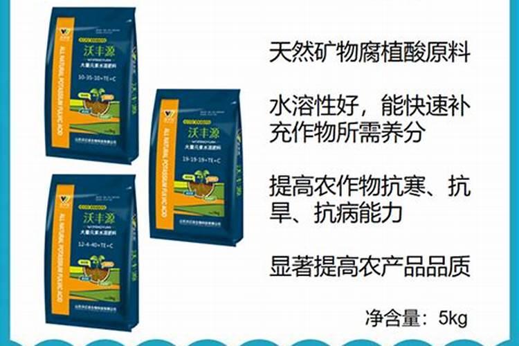 如何掌握向日葵施用硼肥技术？