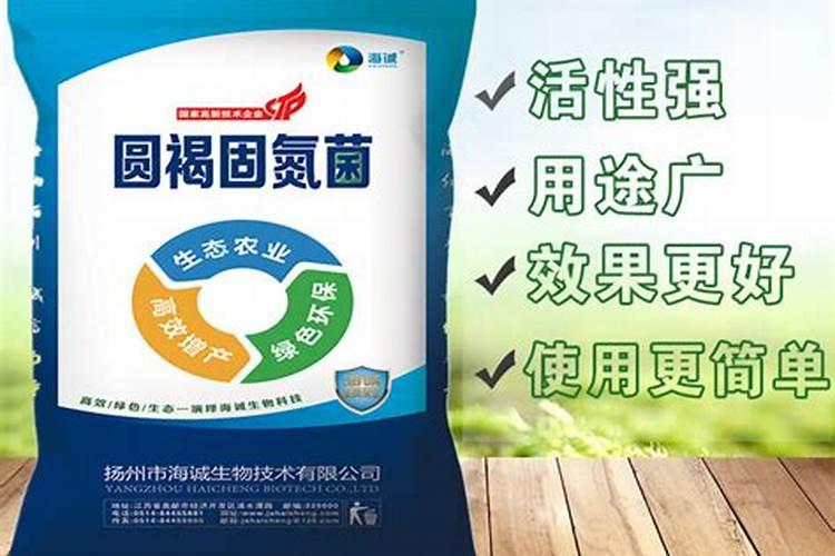 固氮菌和固氮细菌的概念一样吗？