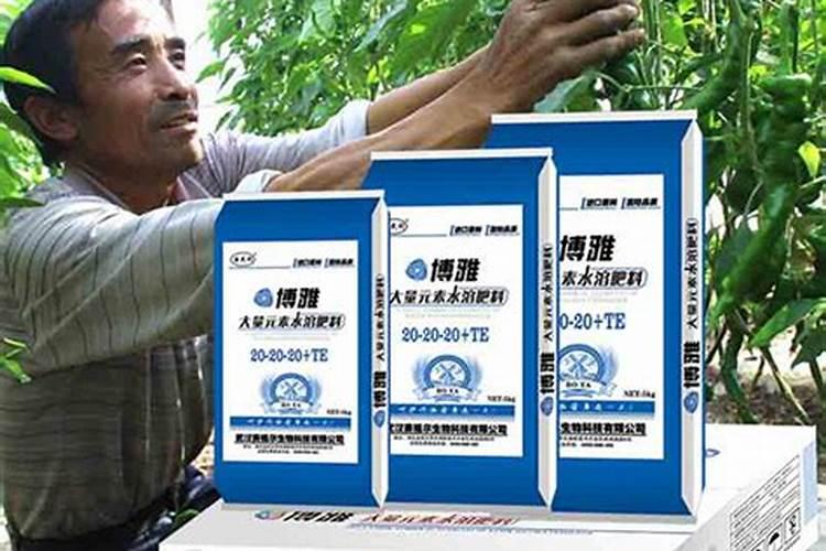 黄桃树施肥方法