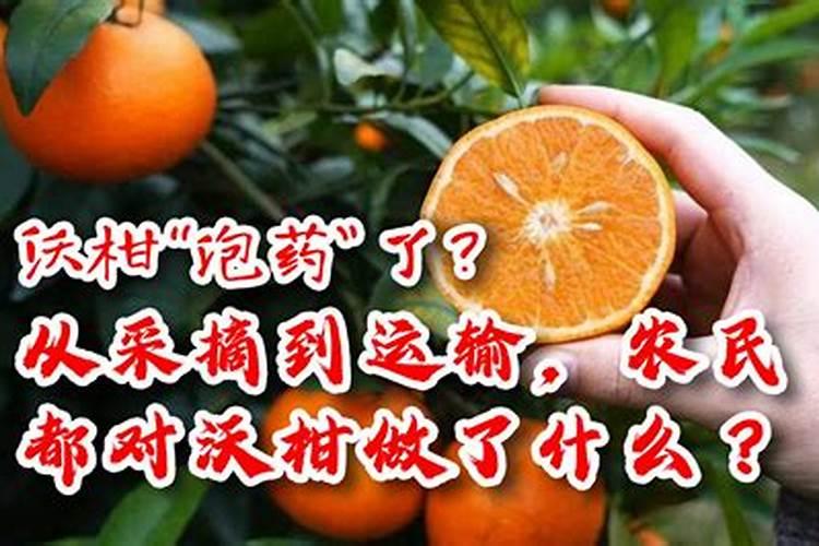 两年沃柑树用什么复合肥好
