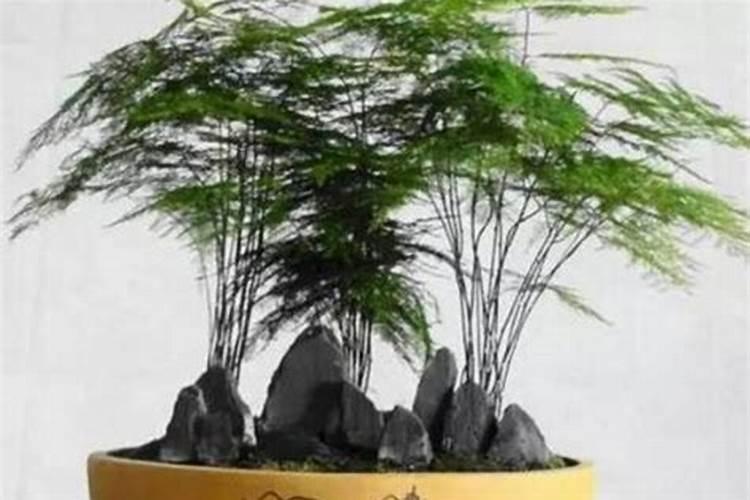 叶面肥尿素水怎么配,可以和农药一起打吗？