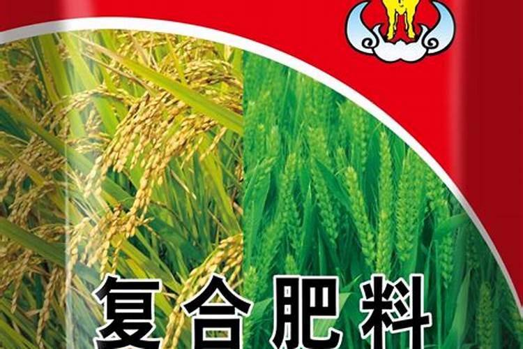 辣椒上红蜘蛛蚜虫白粉虱用同一种药能治吗