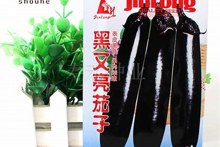 种茄子用什么肥料比较好？