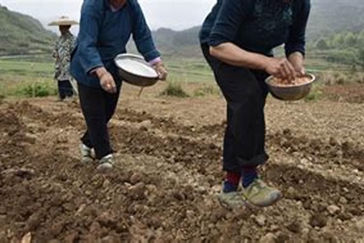 山东亿丰源生物科技股份有限公司怎么样