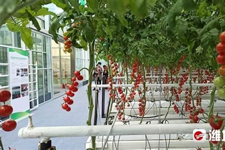 潍坊联想电脑售后在哪里潍坊联想售后电话是多少
