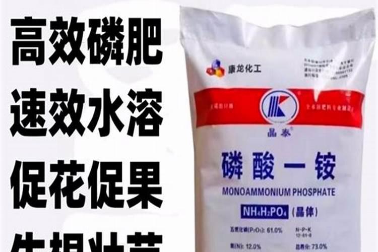 寿光出名的进口肥料名称