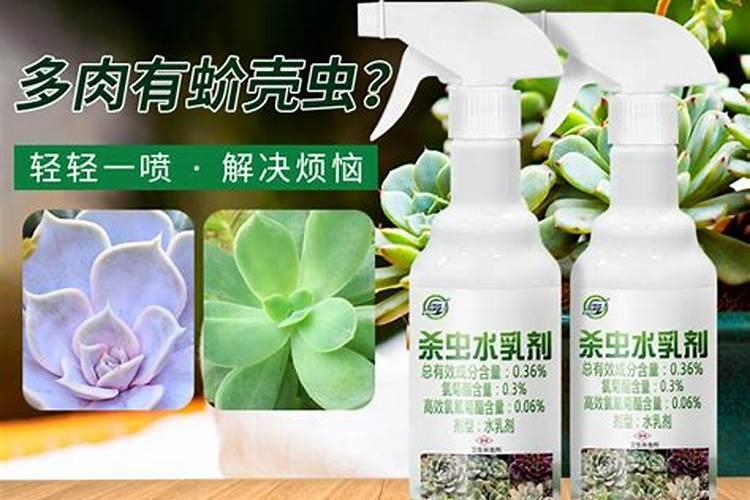 吡虫啉和噻虫嗪可以混用吗