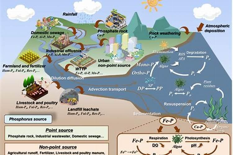 水溶性磷肥有哪些