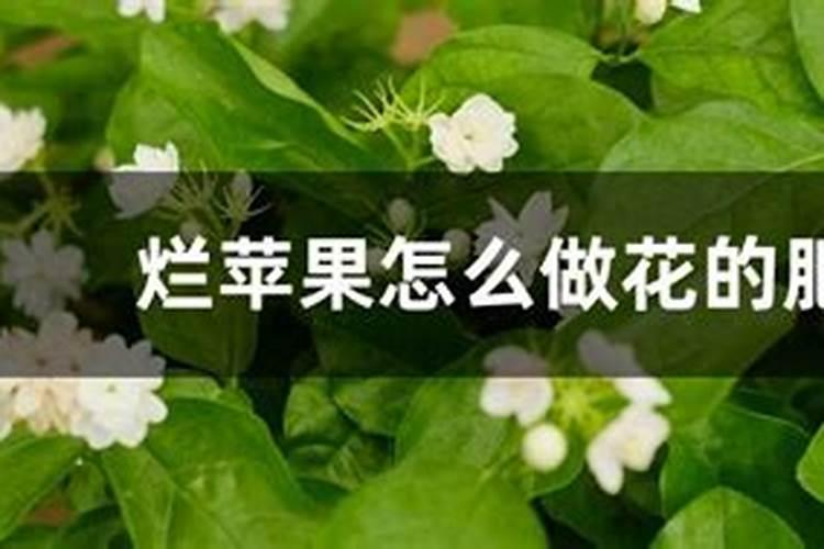 烂苹果怎么做花的肥料