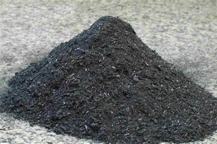 葡萄苗 这样了咋办 求解