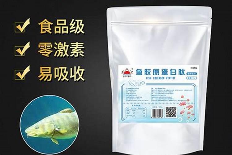 四季青草皮如何矮化