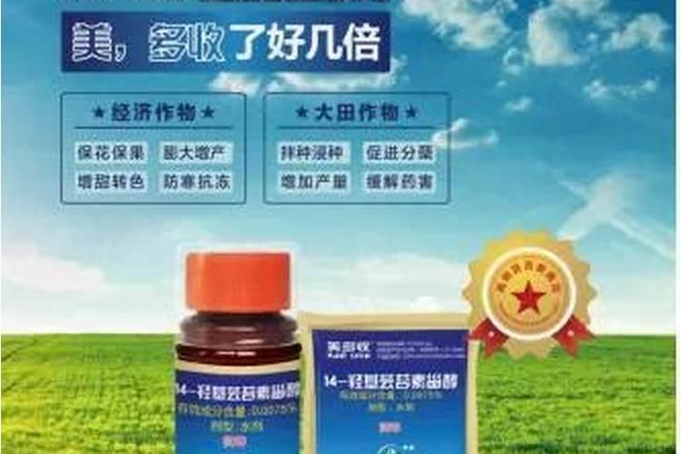 杏树到了七月用什么肥料