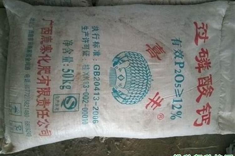 果树缺钙用什么肥料最适合