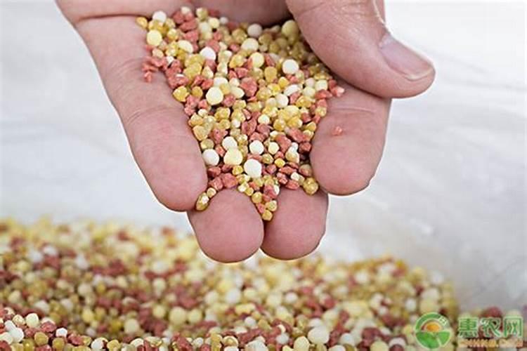 油菜什么时候打除草剂