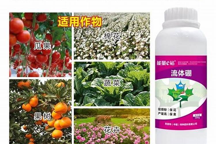 颗粒硼肥什么牌子的好