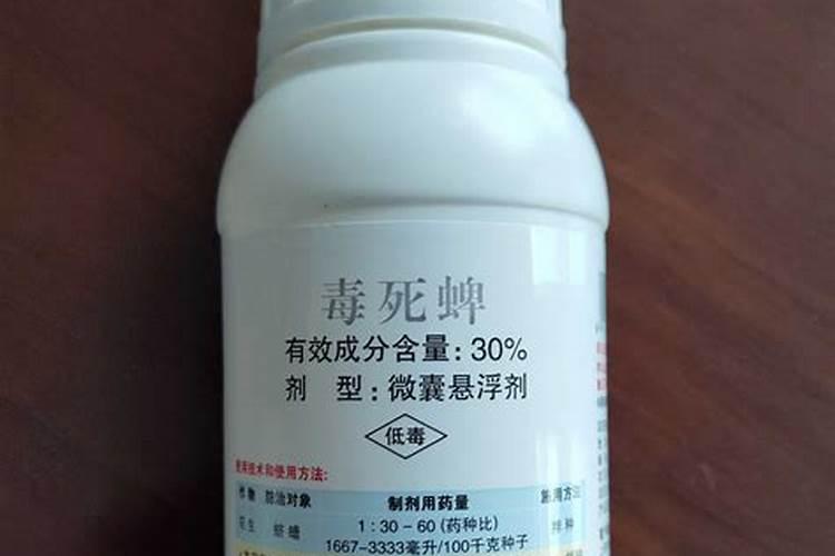 太阳花如何施肥养护花苞更加大