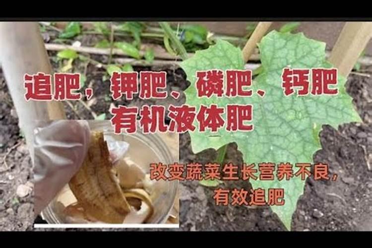 种土豆用什么复合肥最好
