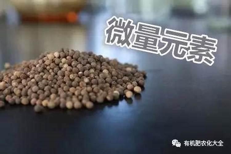 水溶肥施肥施用技巧？