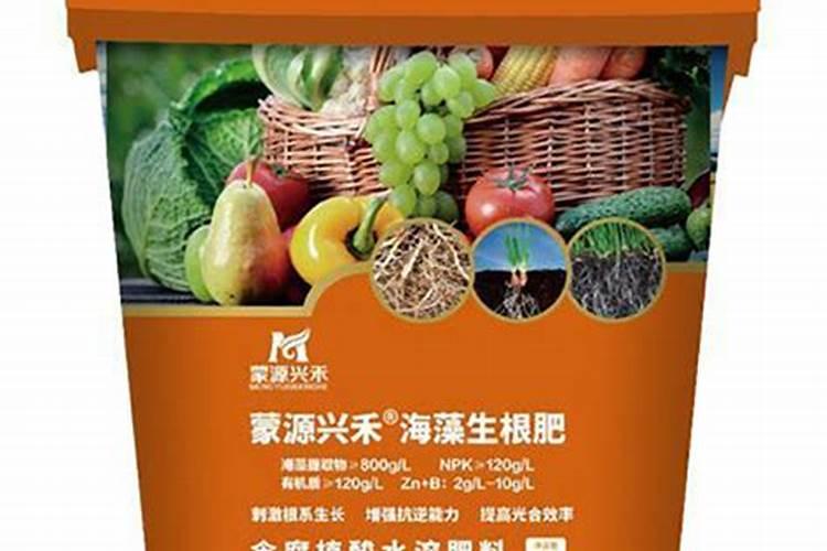 品牌榜:2024年磷肥十大品牌排行榜 投票结果公布【新】