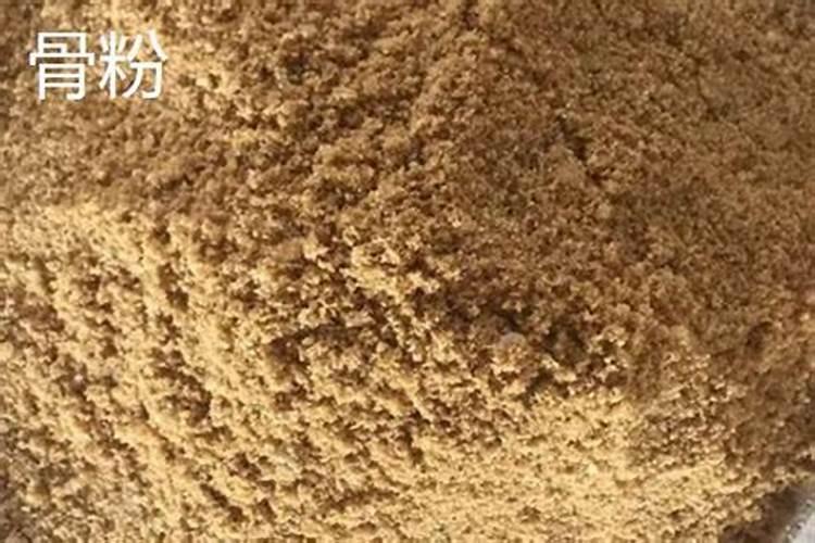 小麦需要什么含量的肥料？