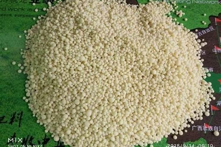 喷施稀土微肥和钾能使冬枣提前上市吗