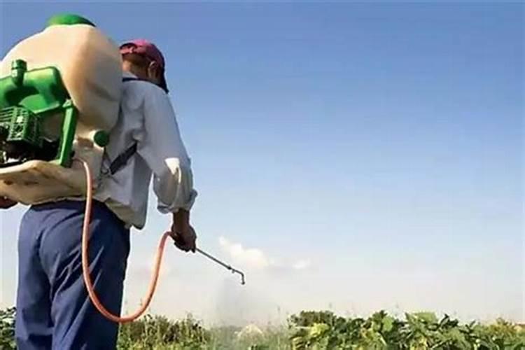 这些作物怎么使用鱼蛋白肥？千万别施错了!