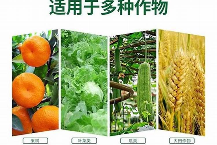 硫酸镁兑水的正确步骤该如何执行