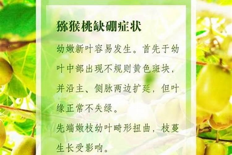 硝酸磷肥的有效期是多长时间 硝酸磷肥的优点和缺点有哪些