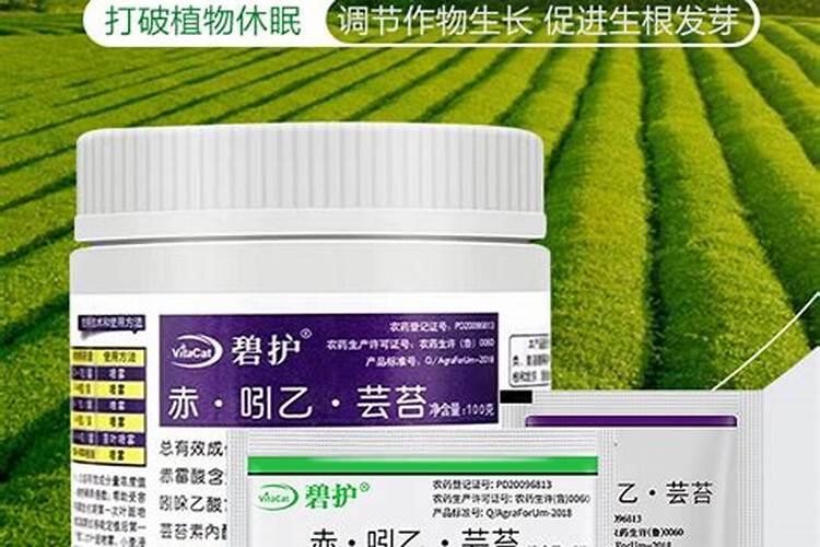调节剂胺鲜酯和芸苔素哪个效果更好？农户应该如何选择？