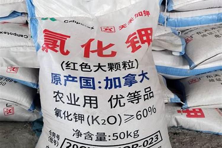 加拿大钾肥和俄罗斯红钾肥颜色区别