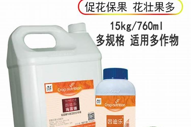 揭秘:海藻有机肥到底好不好？
