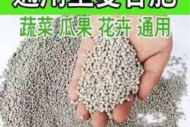 柑橘生长需要哪些肥料