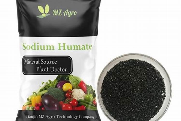 腐植酸肥料有哪些