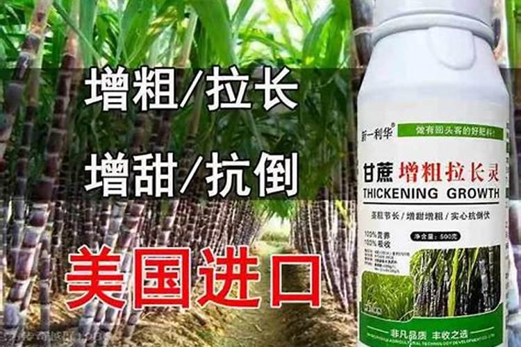 农大复合肥3个15的多少钱一吨