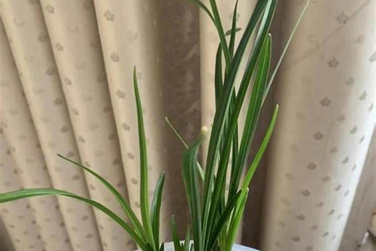 复合肥硼肥尿素等可以混合施吗？