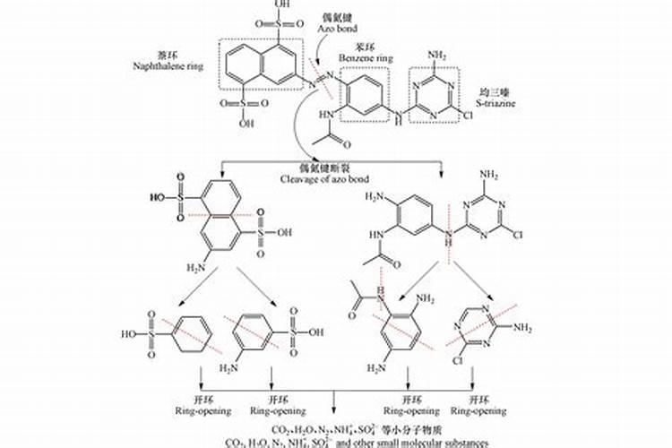 移植桂花误用黄腐酸钾怎么办？