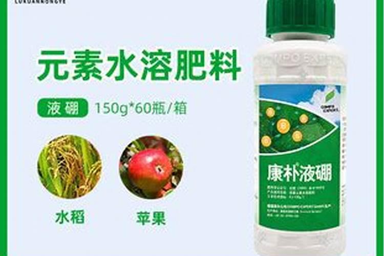 康朴肥可以给兰花用吗