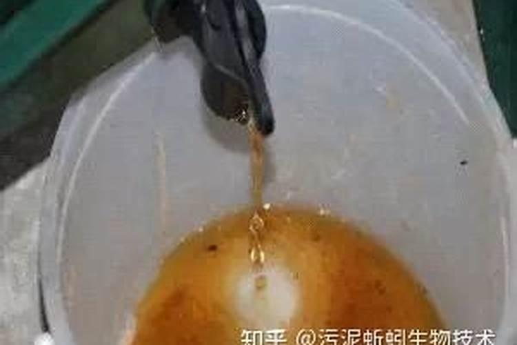 该怎么给芦荟施肥该施什么肥