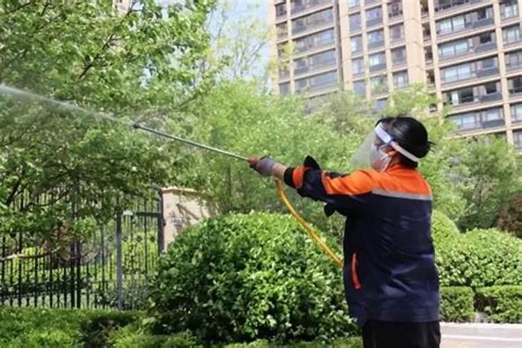 小麦返青能用水溶肥吗,水溶肥施用技巧