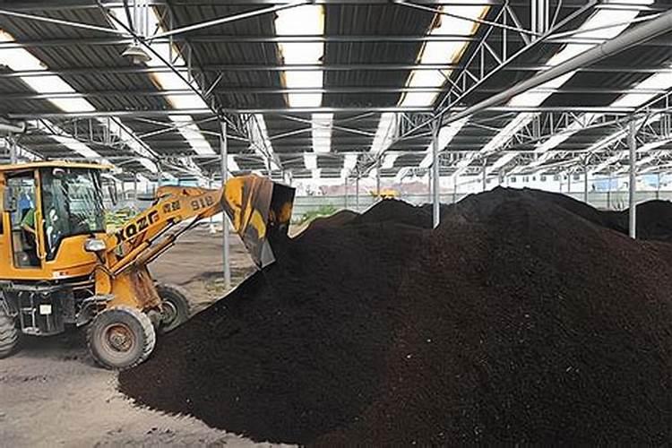 开花的时候怎么施肥浇水 蟹爪兰有花苞了还能施肥吗