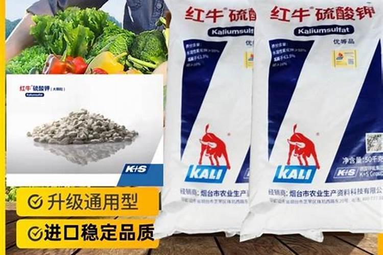 菌肥、菌剂、有机肥、土壤调理剂有什么区别？最详细的介绍